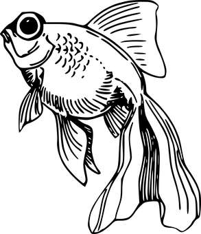 pic_090.png